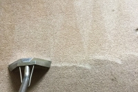 dining-room-carpet-cleaning-example-01
