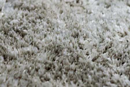 Carpet Fiber Protection